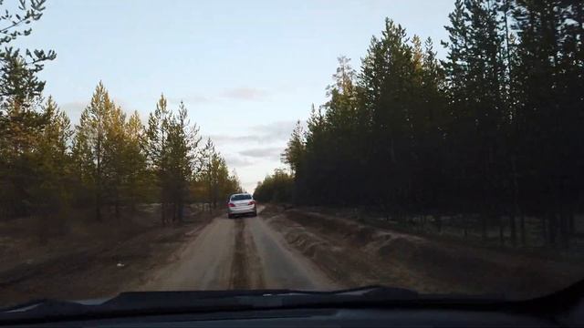 К исчезающим озерам. Серия 9 из 13. Лесные коридоры. Атмосфера дома