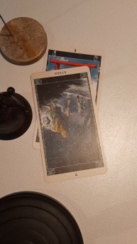 20250124_102957.mp4 Что вас удивит