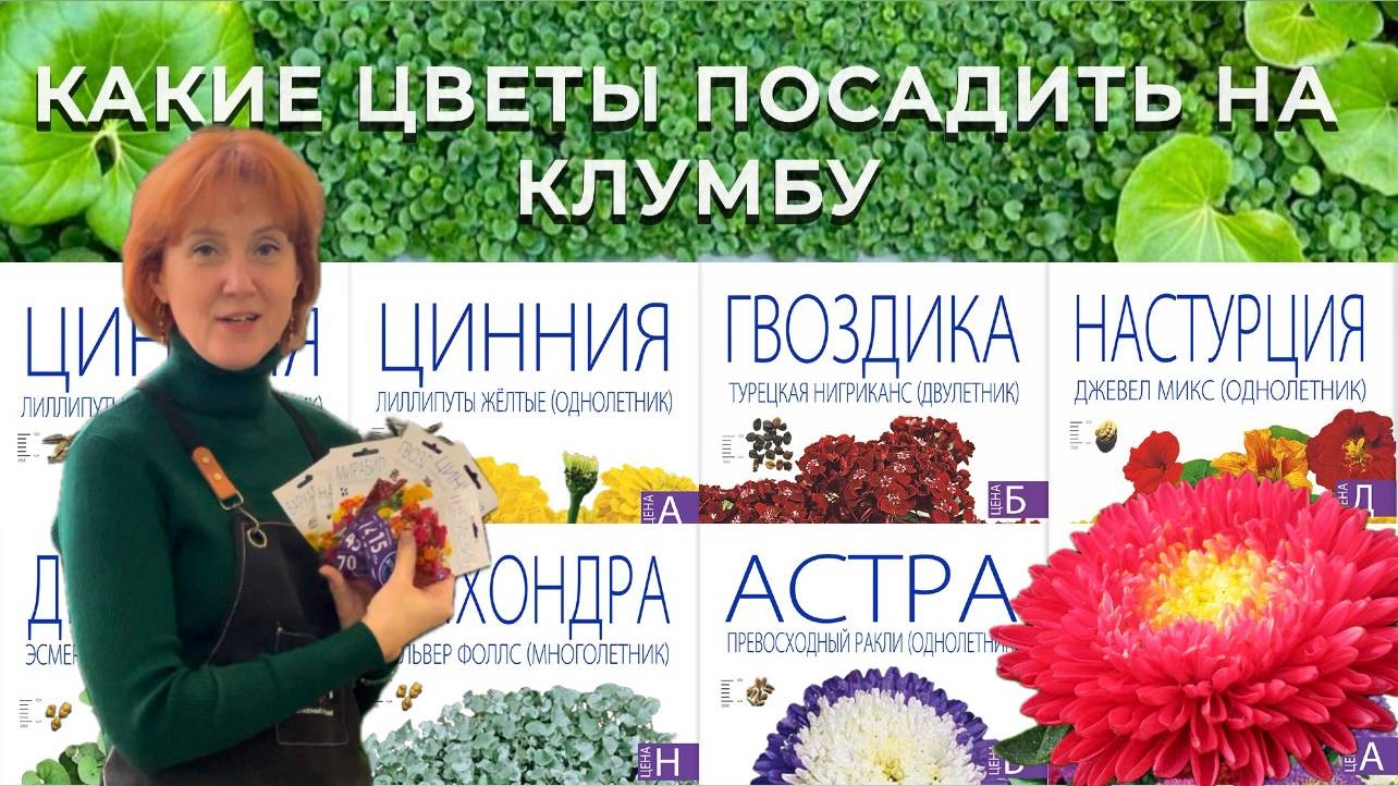 Цветы для клумбы и срезки. Обзор интересных сортов от Агроуспех!