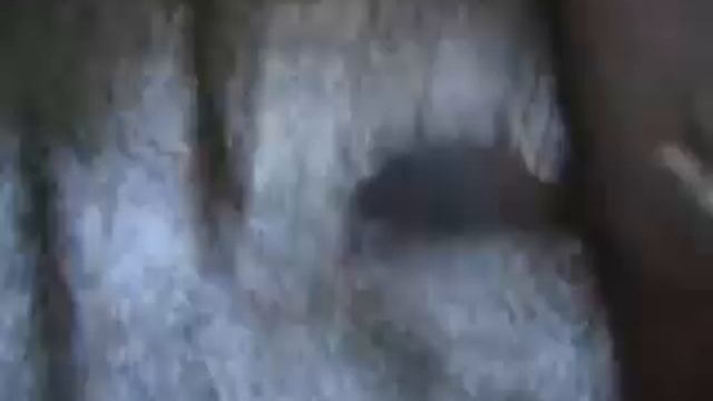 Охота. Архив. Юкон даёт возможность добрать.