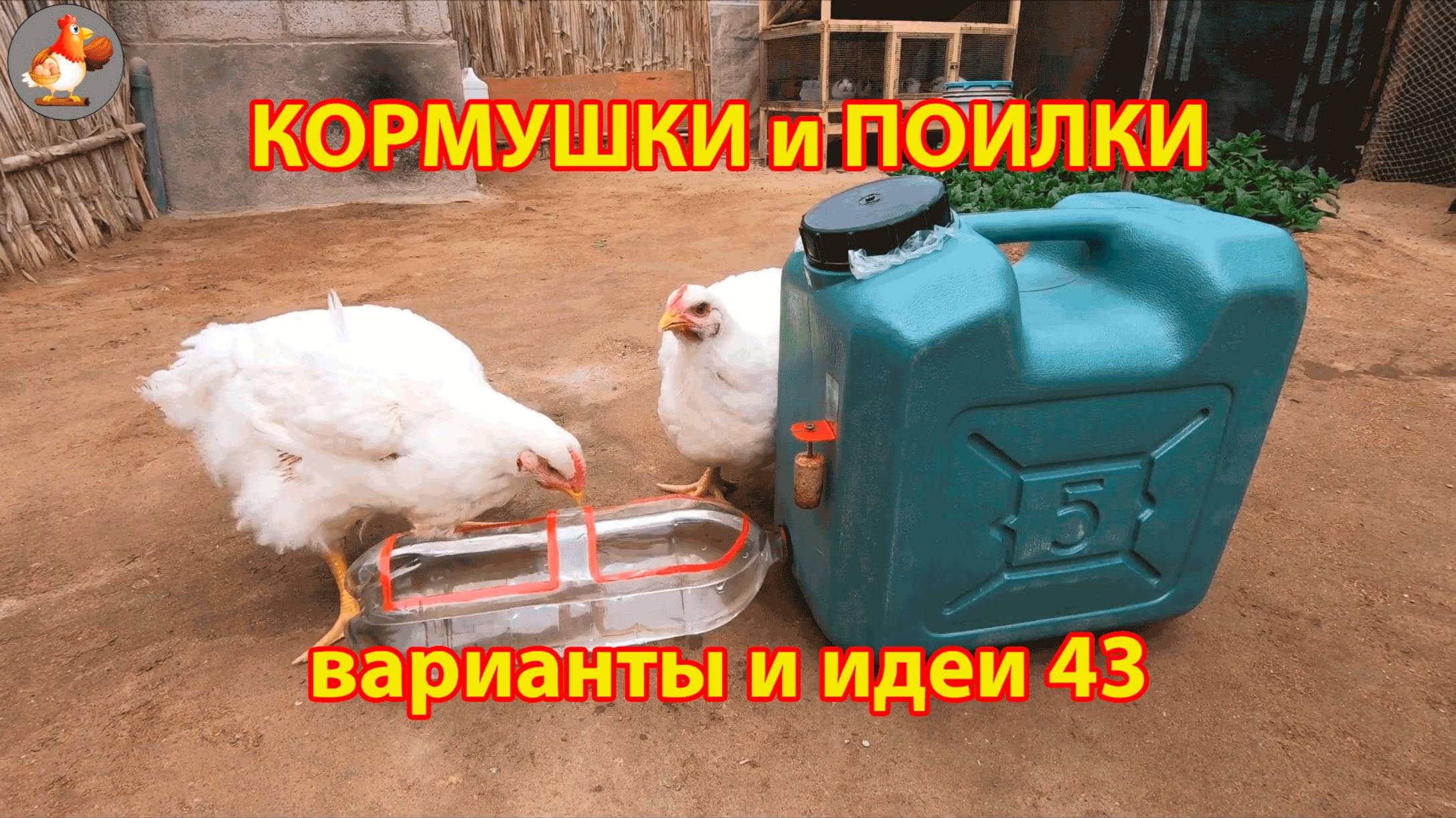 Кормушки и поилки для кур своими руками 43 🪚✂️ Пошаговая инструкция как сделать 🐔 🐓❣️