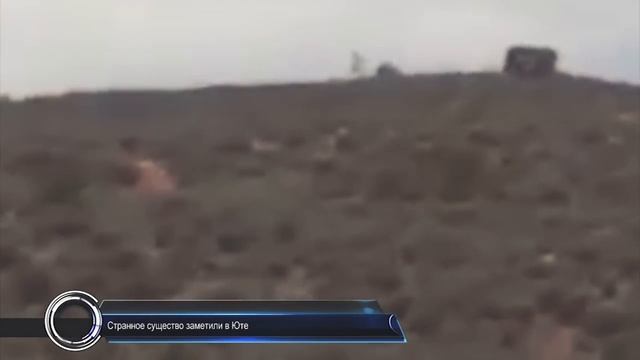 СТРАННОЕ СУЩЕСТВО Снятое на Камеру Инопланетянин или