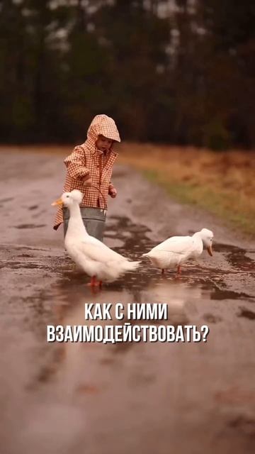 Знаешь ли ты как воспитывать своего ребенка?