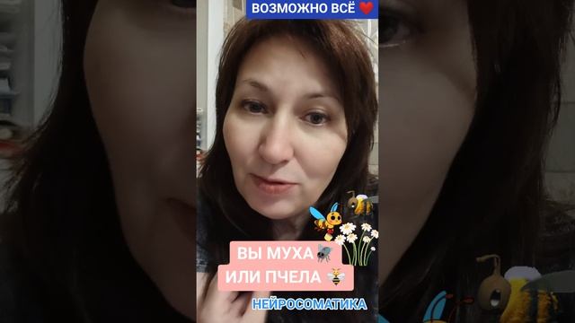 муха или пчела?