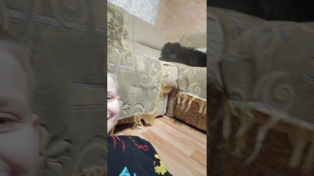 моя битсука