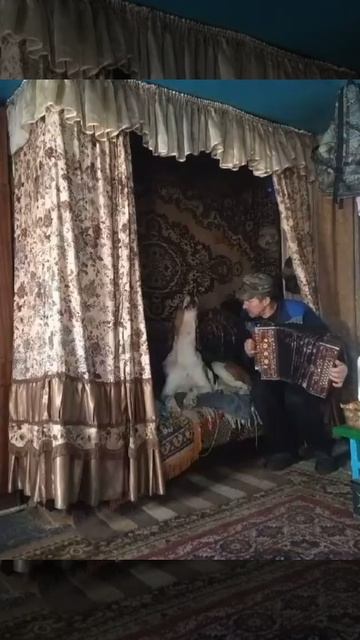 когда охота закрыта