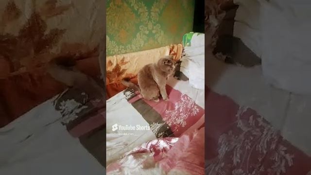 //(YT: 31 марта, 2023 г.) А ты чувствуешь себя няшно? 😁