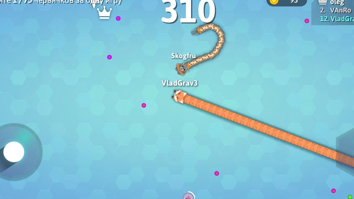 snake.oi приколы