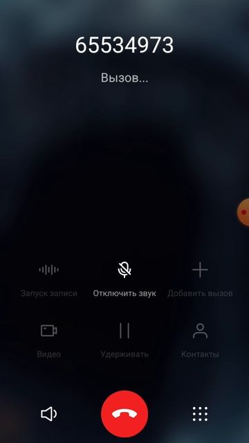 я позвонил смайл догу и он ответил😶