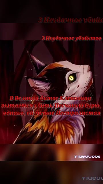🍁КЛЕНОВИЦА🍁🕸пять фактов о кленовице🕸