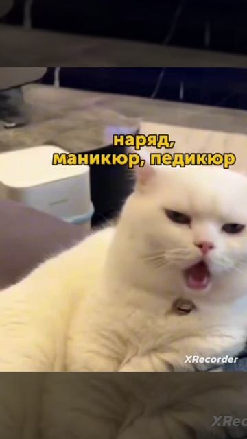 POV: твой муж когда потратил 1.000.000РУБ с его карточки