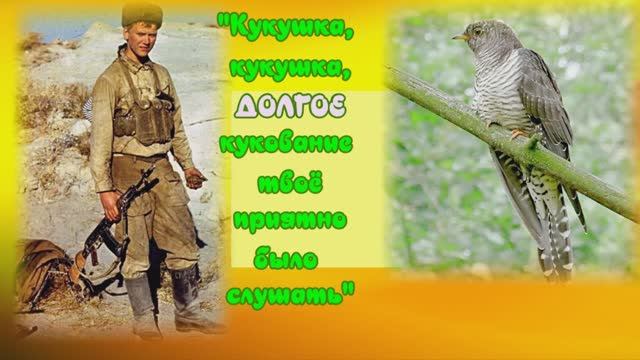Кукушка Её кукование приятно было слушать