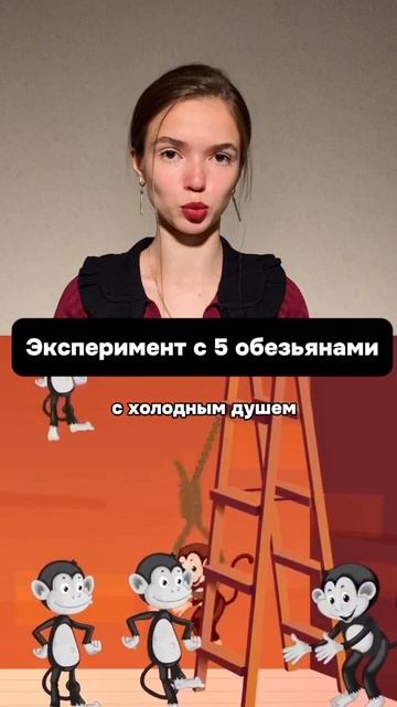 Эксперимент