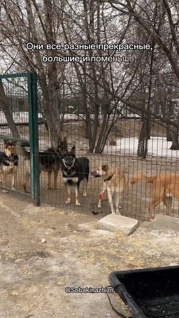 Всегда вчтречают