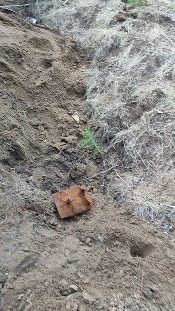 дополнительный заработок на металлоломе