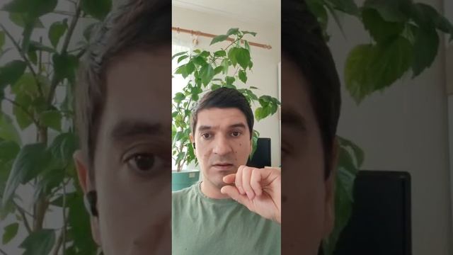 document_5339040954798070444