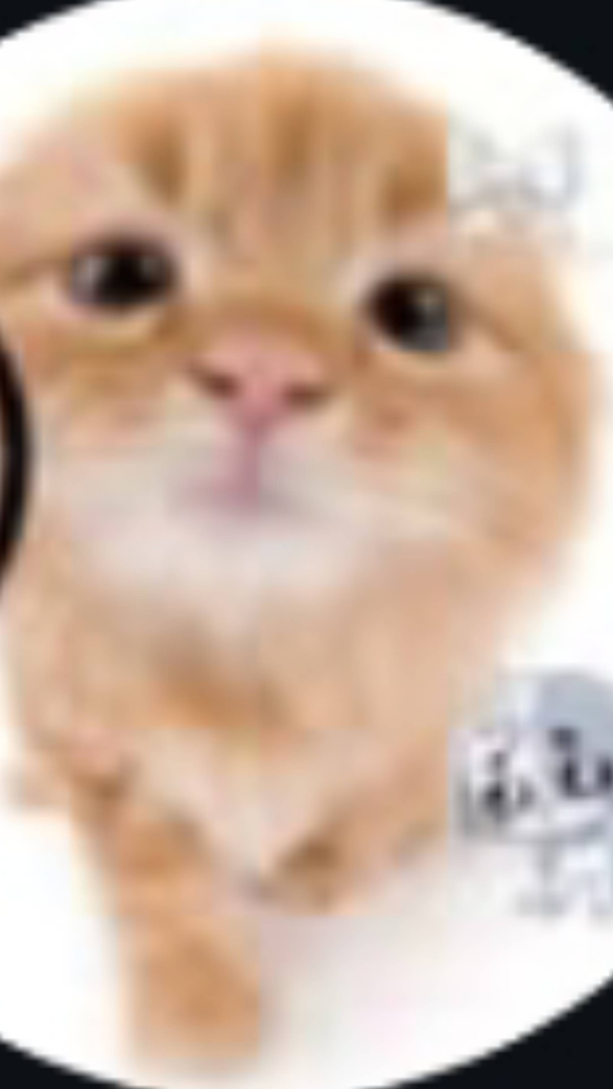ЛП
