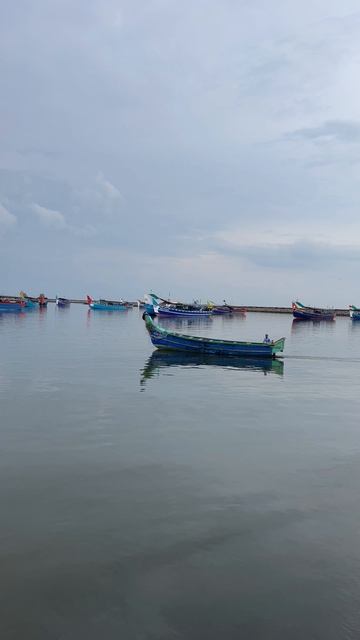 16978937-uhd_2160_3840_24fps