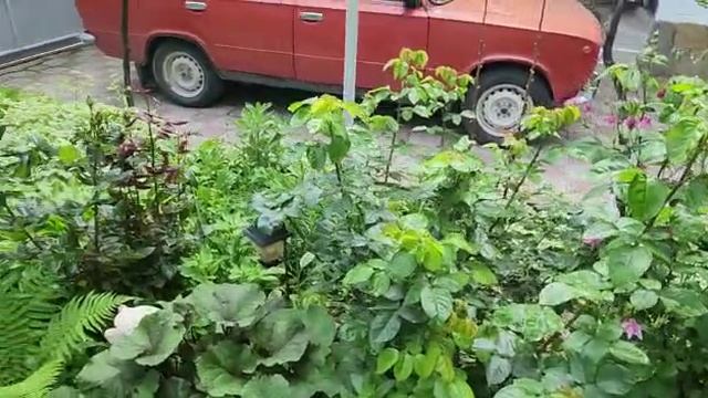 VID-20230529-WA0011.mp4