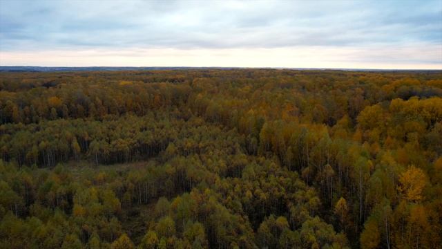 Велегож Заокский район Тульской области 29га