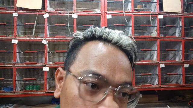 REVIEW SE ISI KIOS JUAL PALING MURAH SEJAGAD RAYA