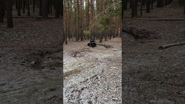 А кому под картошку вспахать?