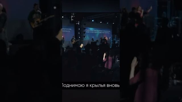 23 января 2024 г.