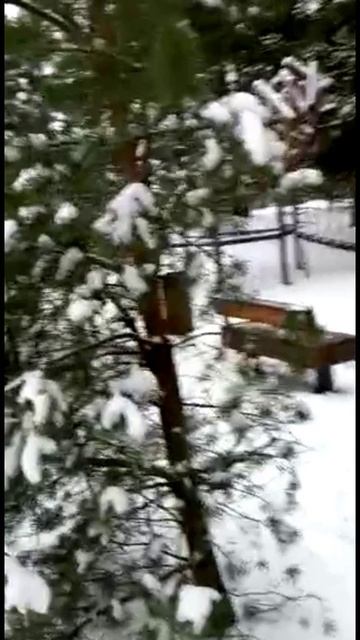 Деревня Куземкино