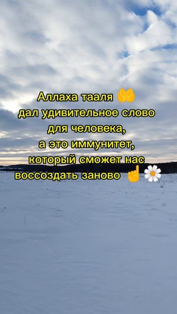 Аллаха тааля 🤲 #Аллах #иммунитет #человек #Allah #immunity #human #ГараевДамир #GaraevDamir #shorts