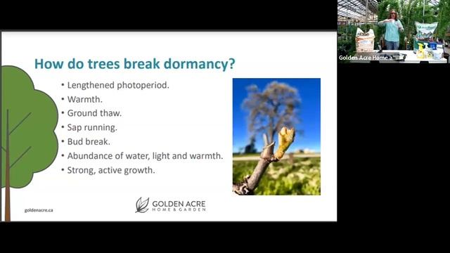 GA Webinars | Trees & Shrubs - Selection, Planting and Care Tips