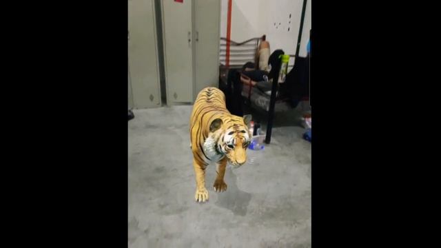 tiger 3D