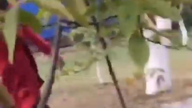 Вот это ДА.ААА