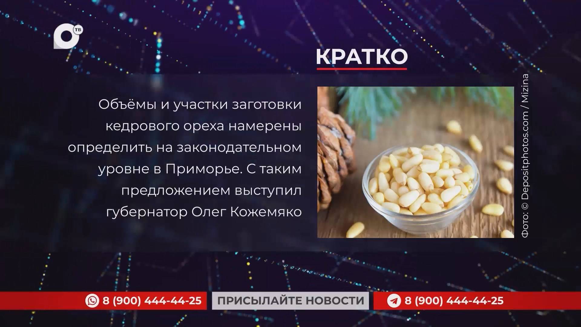 Кратко / 24.01.25 / Утро