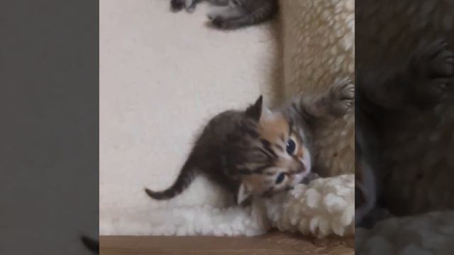 1000002150.mp4