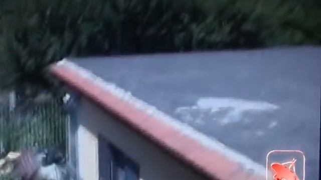 Napoli - Arrestato il latitante Mariano Torre del clan Russo (03.07.12)