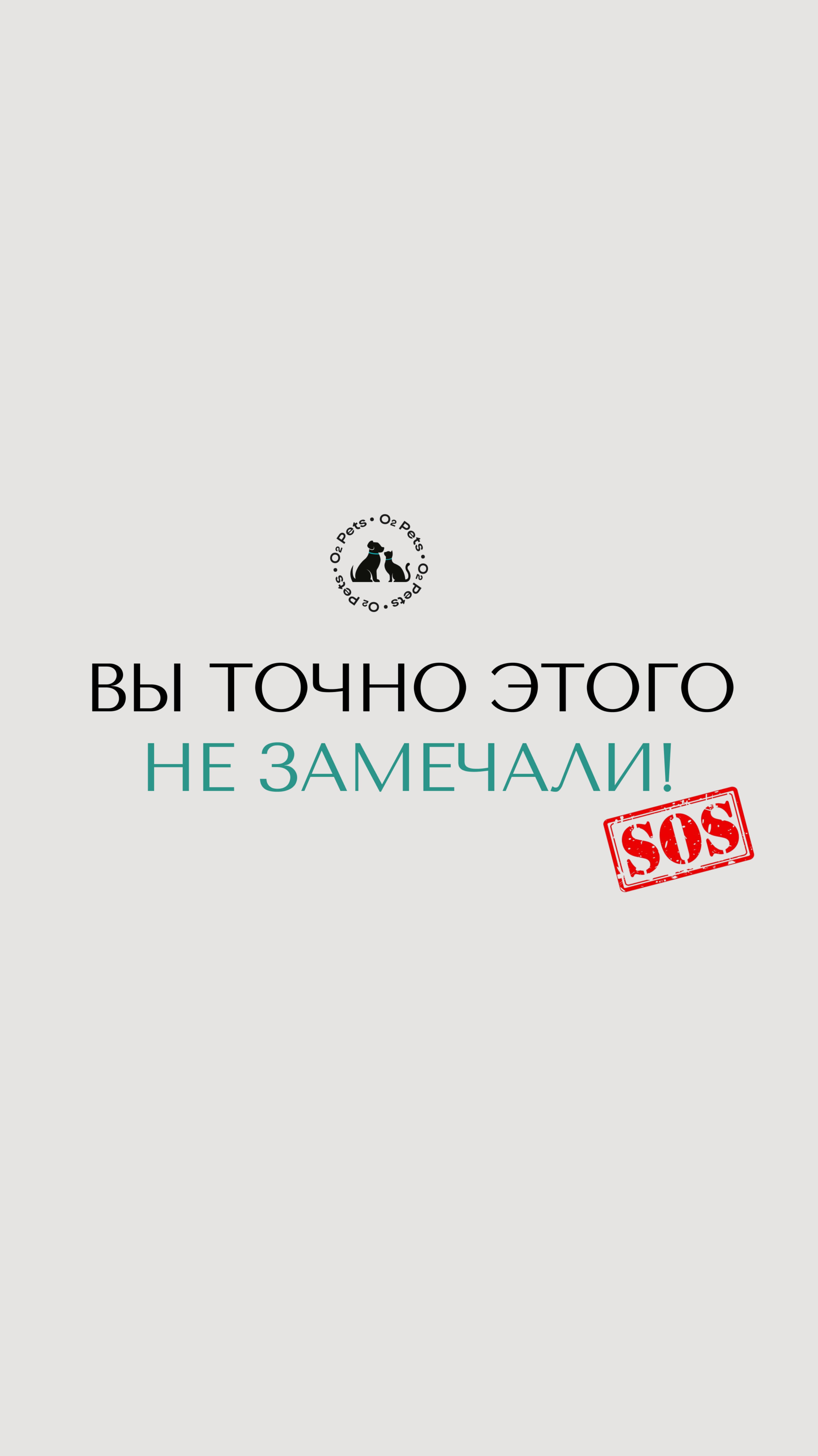 Проблемы со здоровьем питомца могут быть связаны не только с вирусами или неправильным питанием