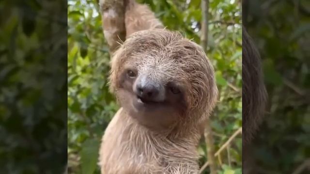video_2025-01-17_09-30-13