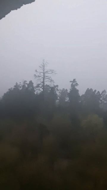 Первые весенние грозы