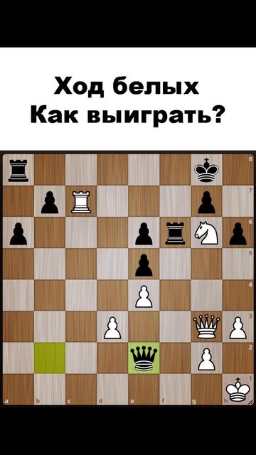 Как выиграть белыми? #chess #шахматы #chesspuzzle #шахматныезадачи