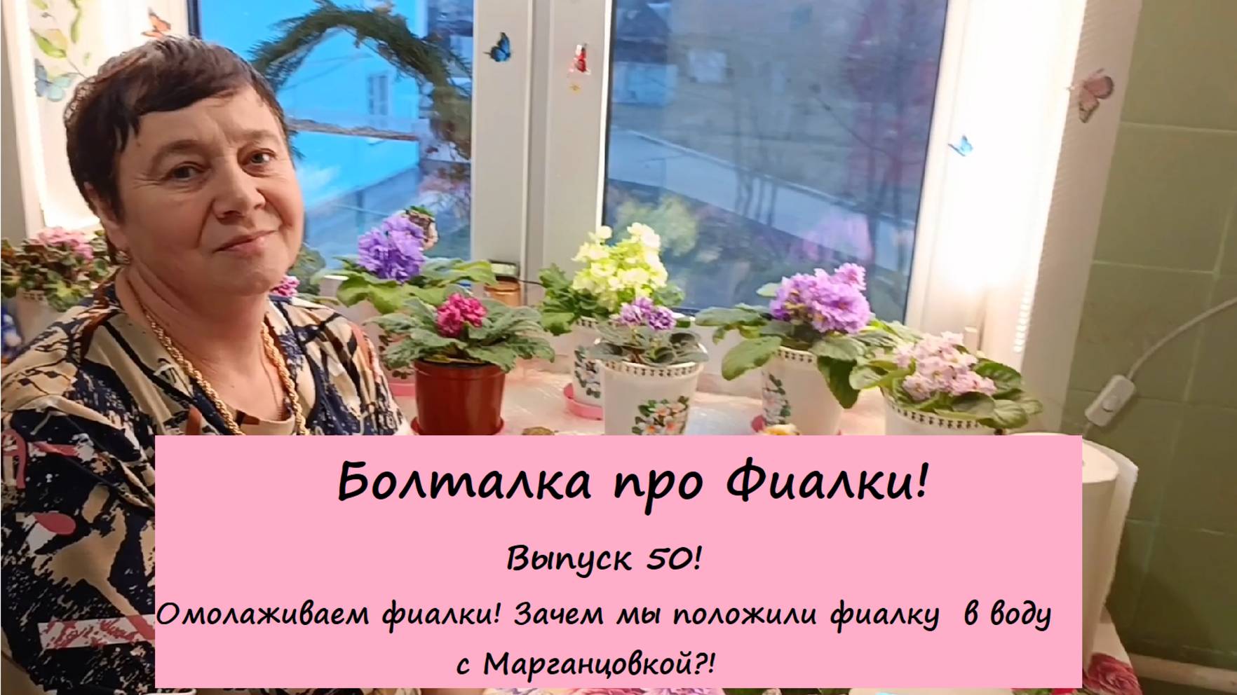 Болталка про Фиалки! Выпуск 50: Омолаживаем фиалки! Зачем мы положили фиалку в воду с Марганцовкой?!