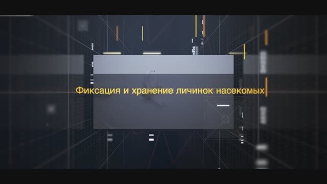Фиксация и хранение личинок насекомых