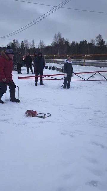 Собака Доберман Дрессировка  #собака #собаки