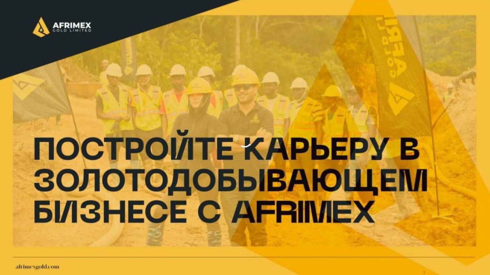 Afrimex информация для инвесторов.