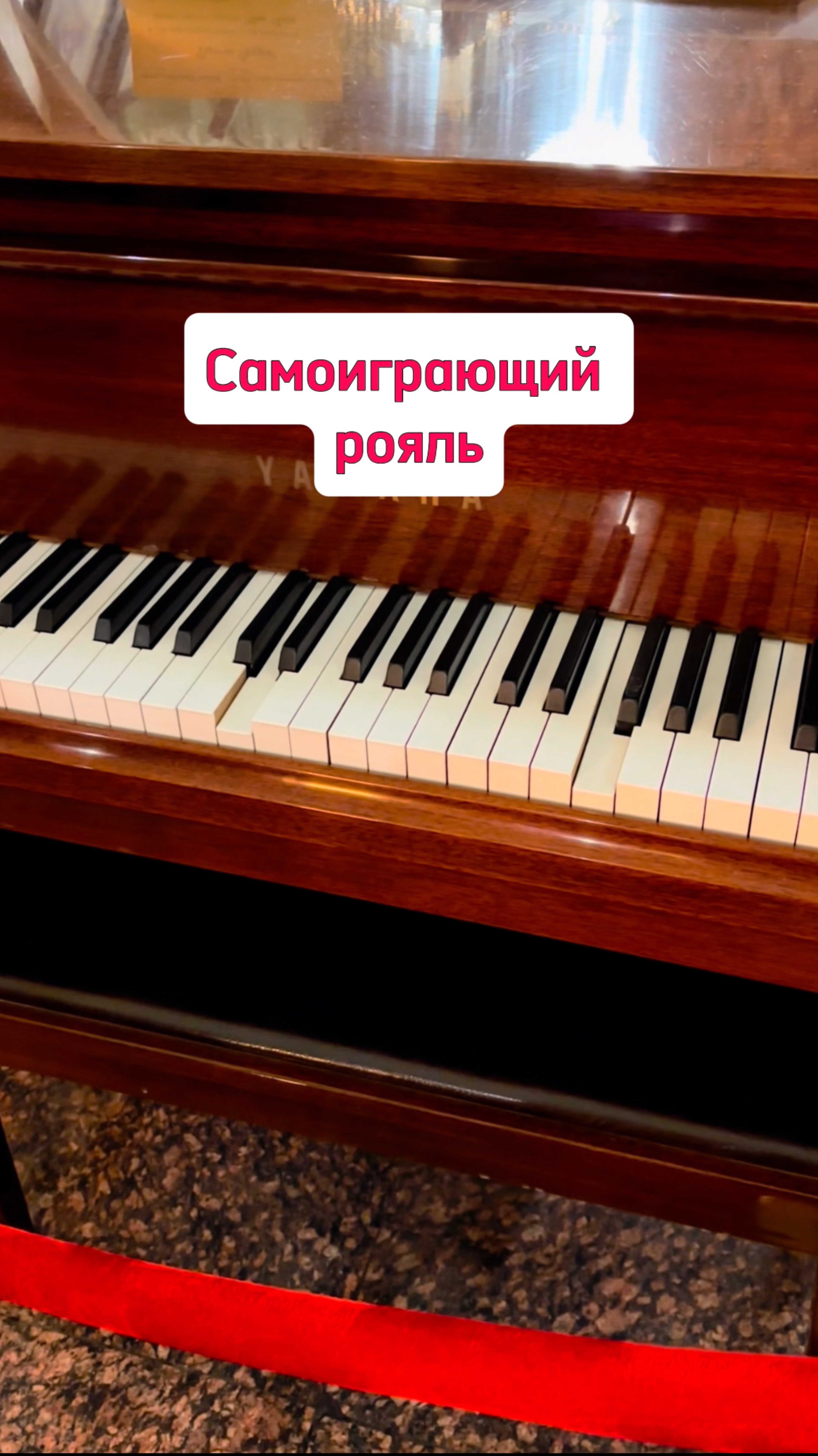 Елисеевский магазин в Санкт-Петербурге, самоиграющий рояль