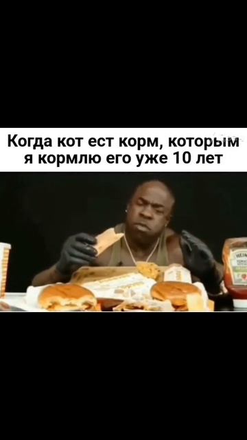 Мой кот ест корм, которым я кормлю его уже на протяжении 10 лет.mp4