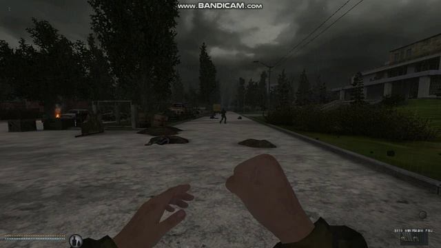 Anomaly анимация рукопашки