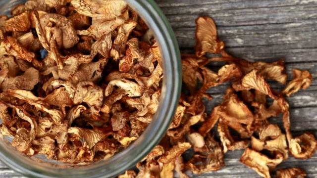Как сушить грибы из которых можно готовить суп