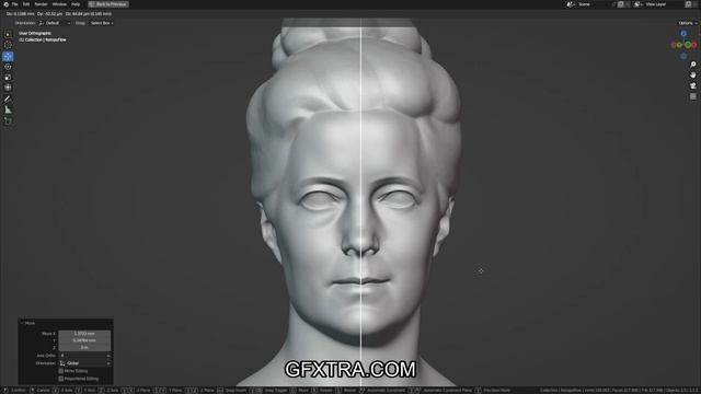 RetopoFlow 3 - 09 - Symmetry.mov