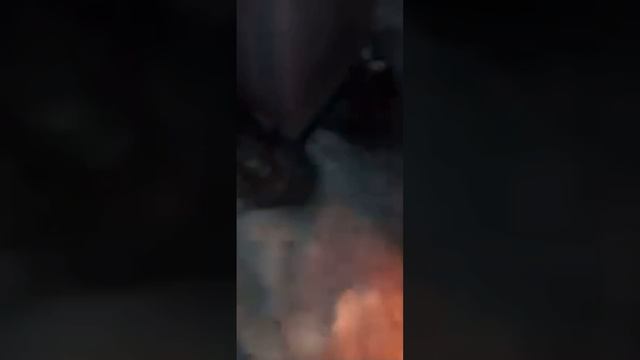 За эти действия есть ответственность. Поджоги. (2)