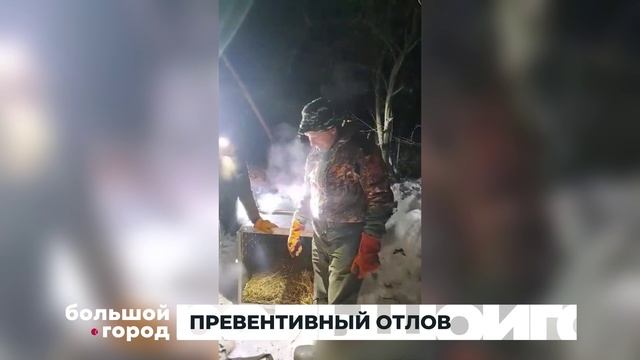 ПРЕВЕНТИВНЫЙ ОТЛОВ. Большой город 23/01/2025